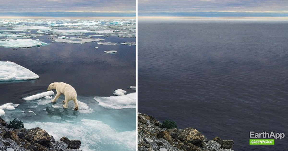 Greenpeace utiliza FaceApp para alertar para impactos das mudanas climticas